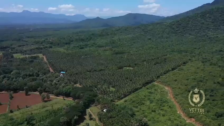 Aerial view of the 53 acre coconut and areca nut farm at Nellithurai, Mettupalayam, with the hills behind